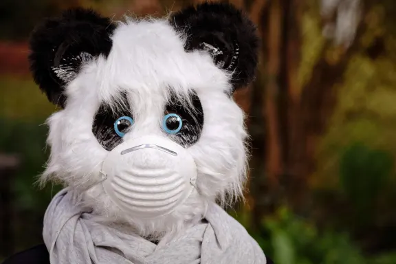 NoxWin Kazino Atbalsts